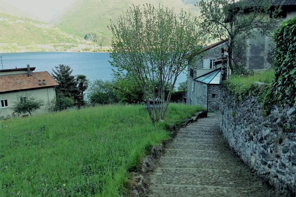 Appartamento Il Girasole Cremia Lago Di Como Екстериор снимка